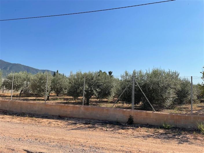 Image No.4-2 Bed Country House for sale