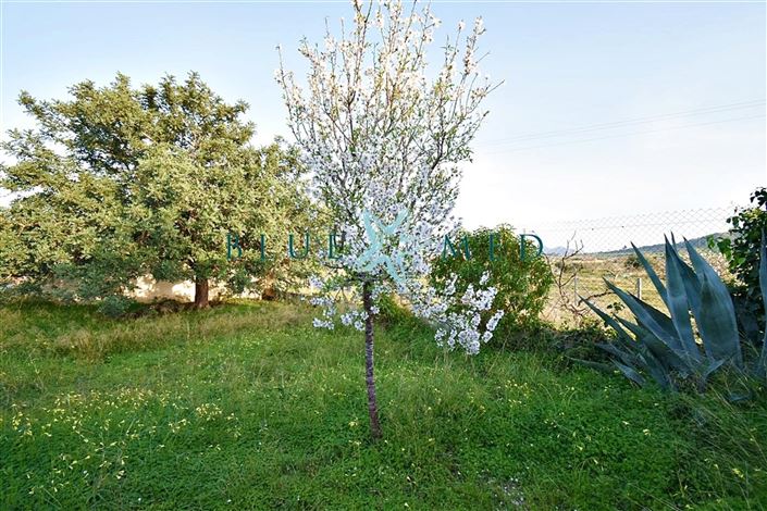 Image No.28-3 Bed Country House for sale