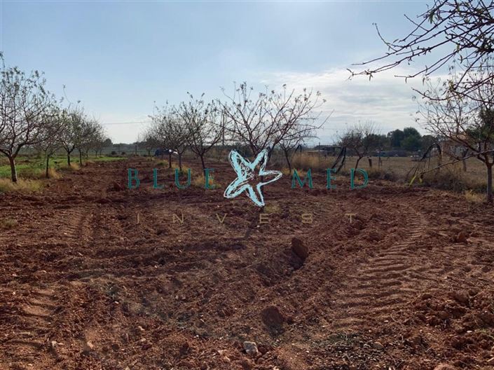 Image No.12-Land for sale