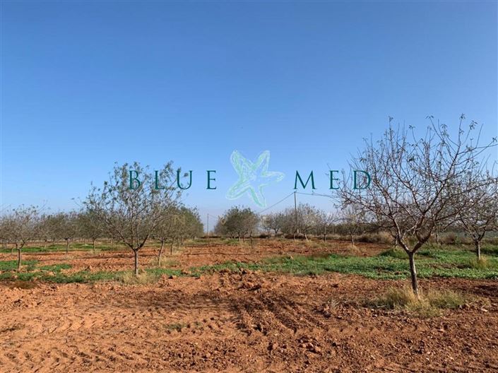 Image No.5-Land for sale