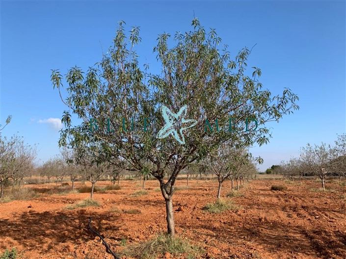 Image No.6-Land for sale