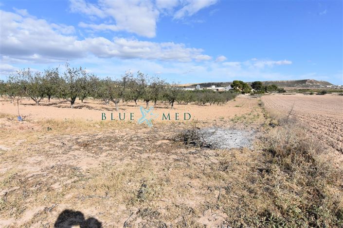 Image No.11-8 Bed Country House for sale