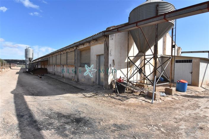 Image No.21-8 Bed Country House for sale