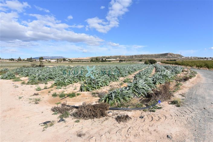 Image No.22-8 Bed Country House for sale