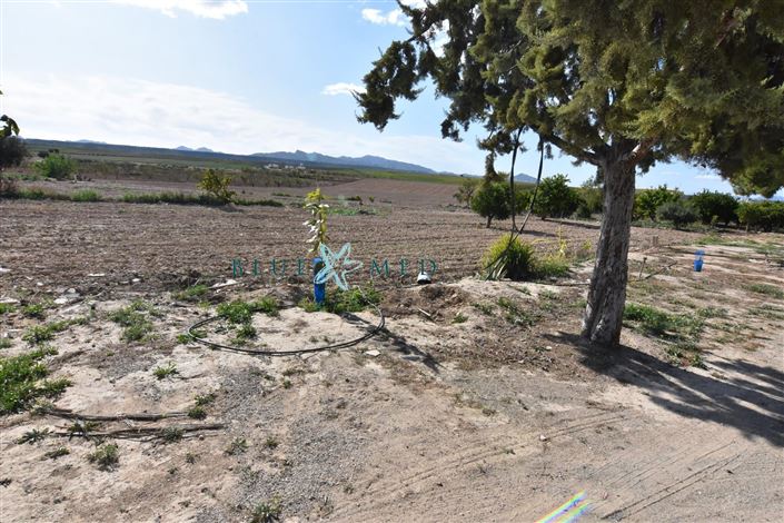 Image No.27-8 Bed Country House for sale