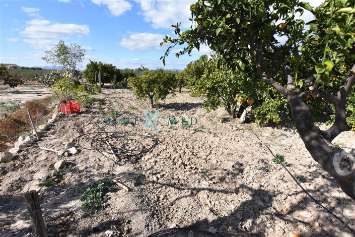 Image No.30-8 Bed Country House for sale