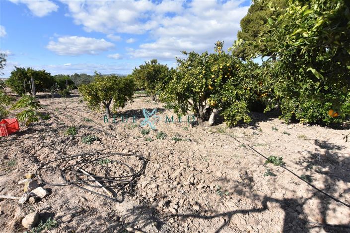 Image No.31-8 Bed Country House for sale