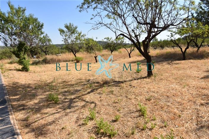 Image No.10-2 Bed Villa for sale