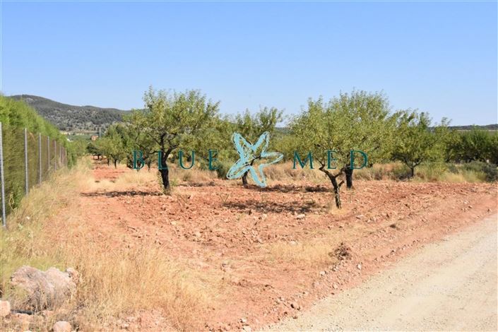 Image No.44-2 Bed Villa for sale