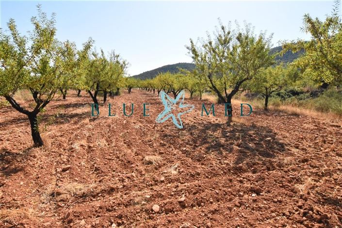 Image No.47-2 Bed Villa for sale