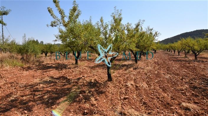 Image No.48-2 Bed Villa for sale