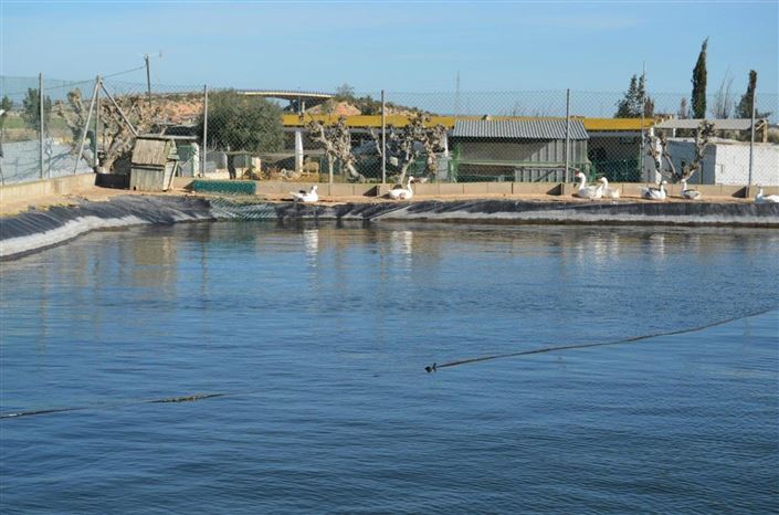 Image No.12-4 Bed Villa for sale