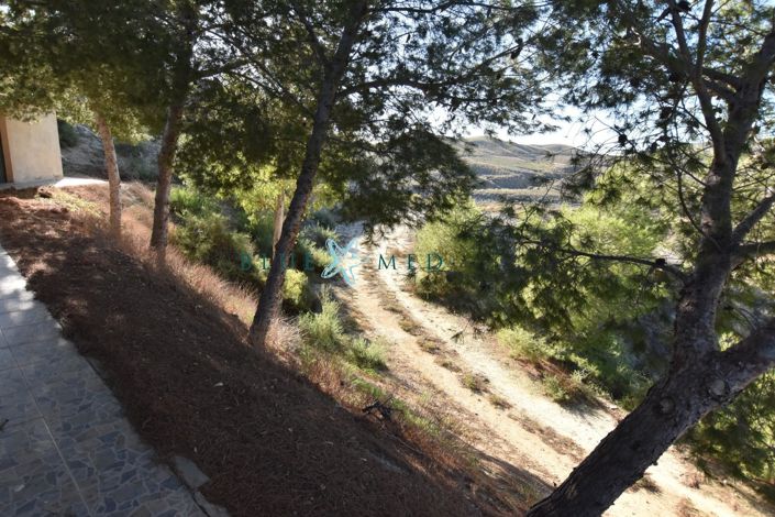 Image No.3-3 Bed Country House for sale