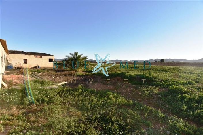 Image No.18-6 Bed Country House for sale