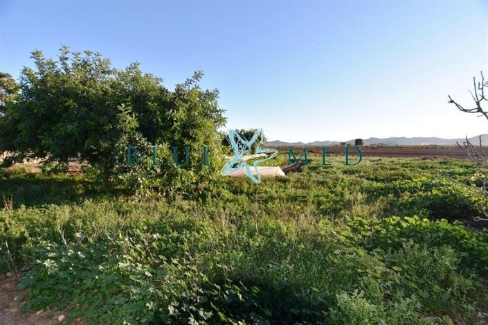 Image No.19-6 Bed Country House for sale