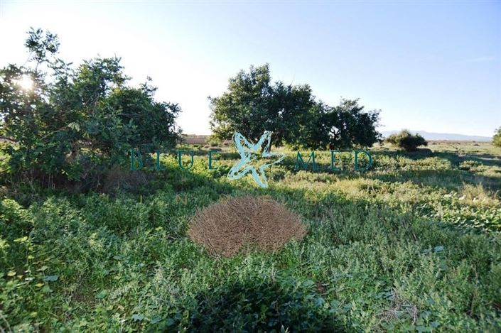 Image No.20-6 Bed Country House for sale