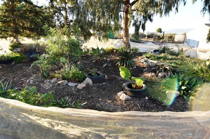 Image No.25-6 Bed Country House for sale