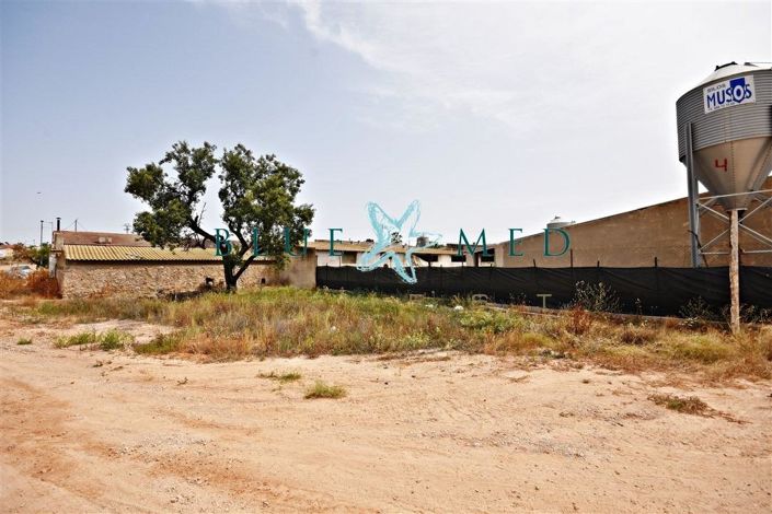 Image No.11-3 Bed House for sale