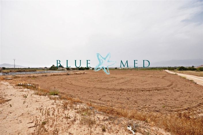 Image No.12-3 Bed House for sale