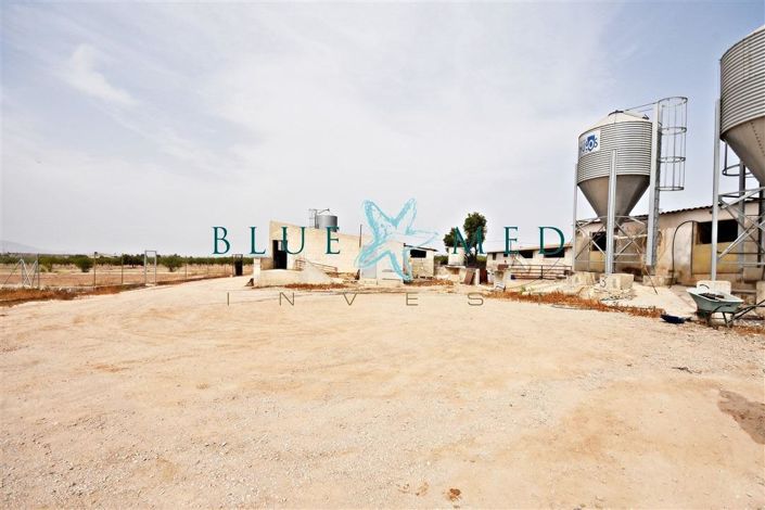 Image No.14-3 Bed House for sale