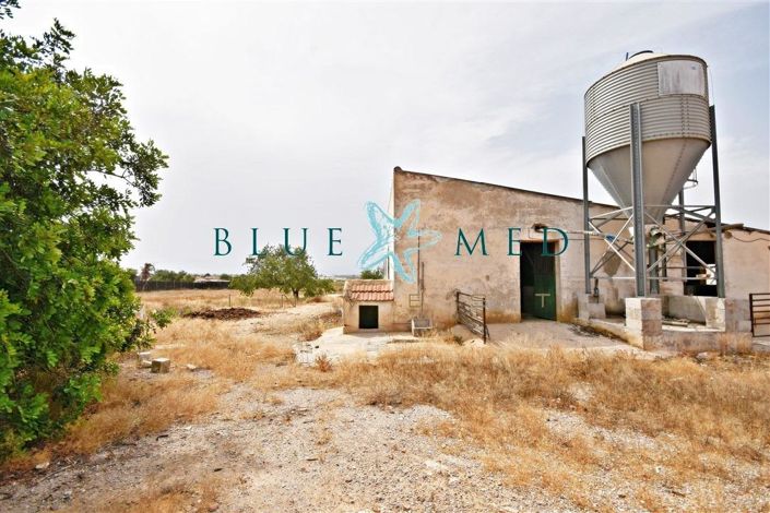 Image No.16-3 Bed House for sale