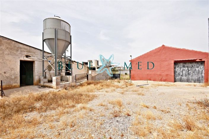 Image No.17-3 Bed House for sale