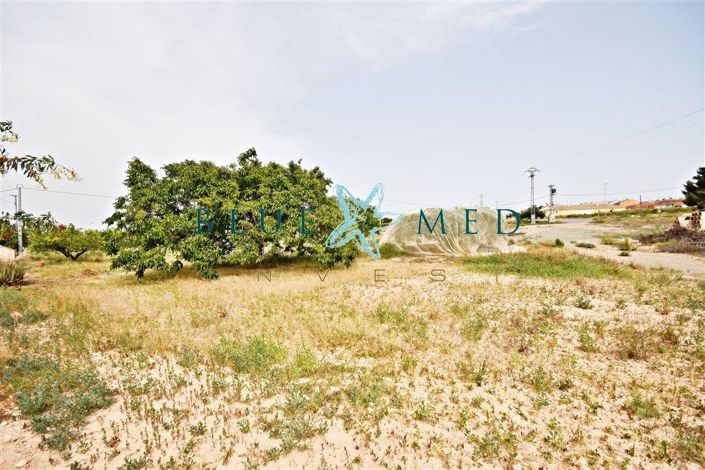 Image No.20-3 Bed House for sale