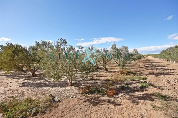 Image No.22-2 Bed Country House for sale