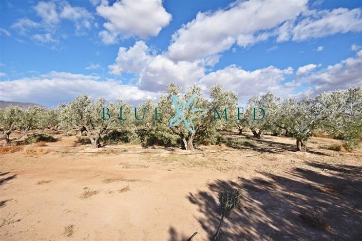 Image No.23-2 Bed Country House for sale