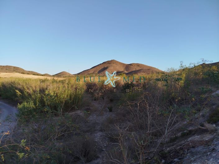 Image No.3-Property for sale