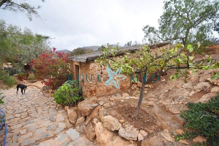 Image No.46-3 Bed Villa for sale