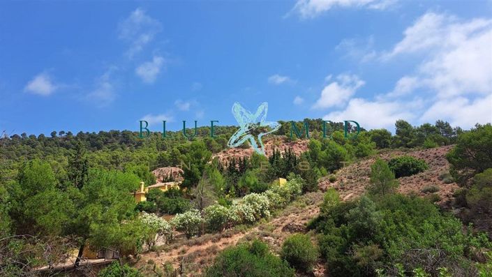 Image No.17-5 Bed Country House for sale