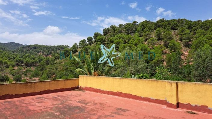 Image No.22-5 Bed Country House for sale