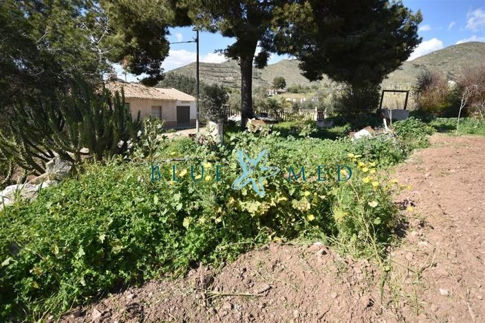 Image No.18-Property for sale