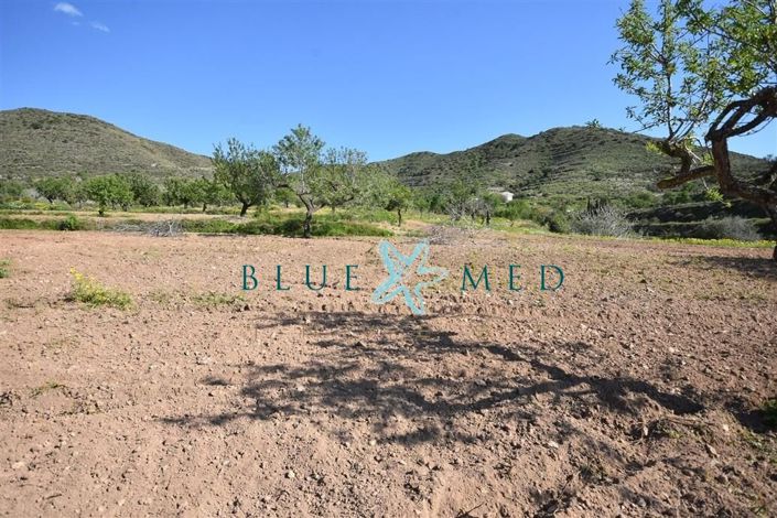 Image No.20-Property for sale