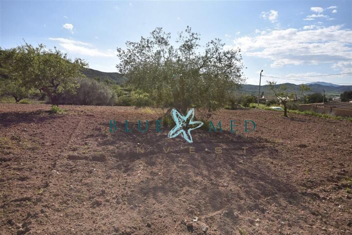 Image No.23-Property for sale