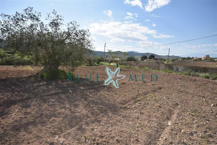 Image No.24-Property for sale