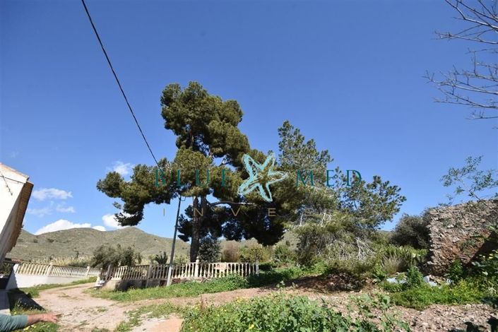 Image No.6-Property for sale