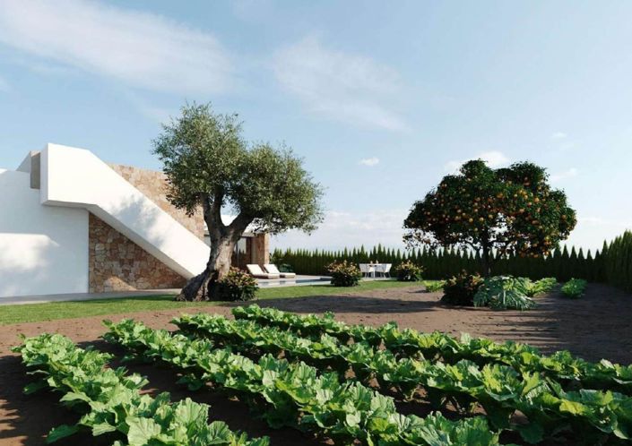 Image No.3-3 Bed Villa for sale