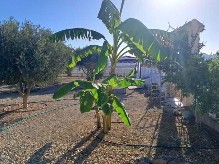 Image No.33-1 Bed Country House for sale