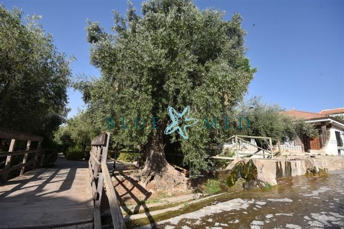 Image No.47-6 Bed Property for sale