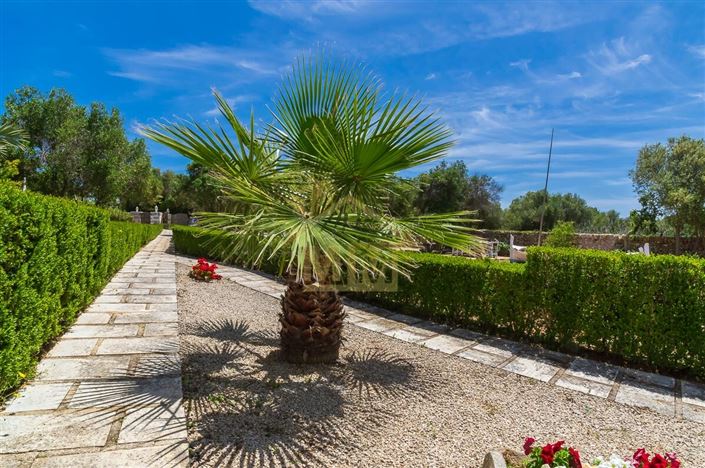 Image No.35-4 Bed Country House for sale