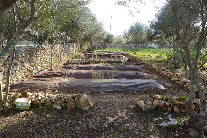 Image No.41-7 Bed Villa for sale