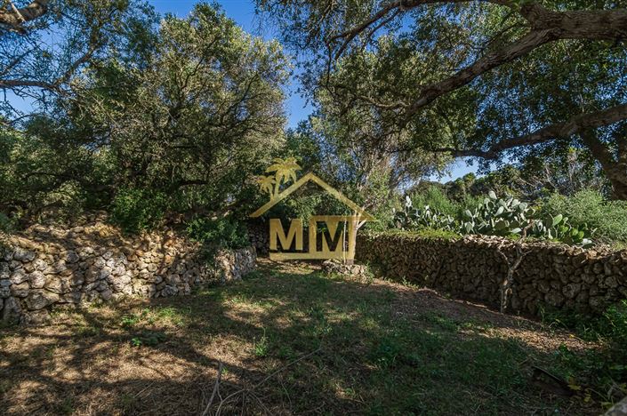 Image No.17-5 Bed Country House for sale