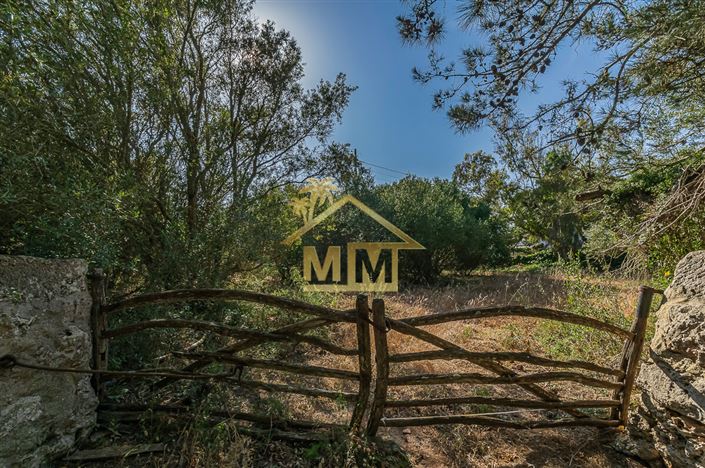 Image No.19-5 Bed Country House for sale