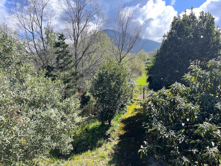 Image No.19-2 Bed Villa / Detached for sale