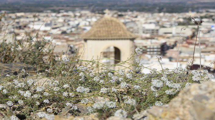 Image No.57-3 Bed Property for sale