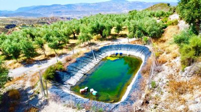 spanishpropertyexpertcom-88