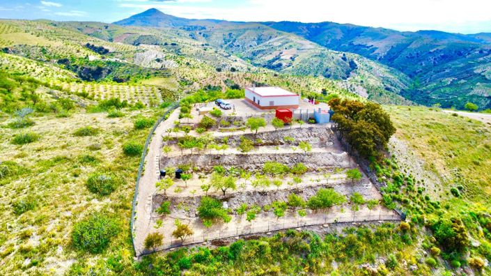 Image No.28-3 Bed Villa for sale