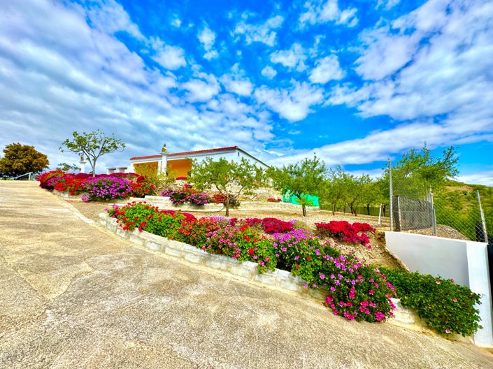 Image No.42-3 Bed Villa for sale